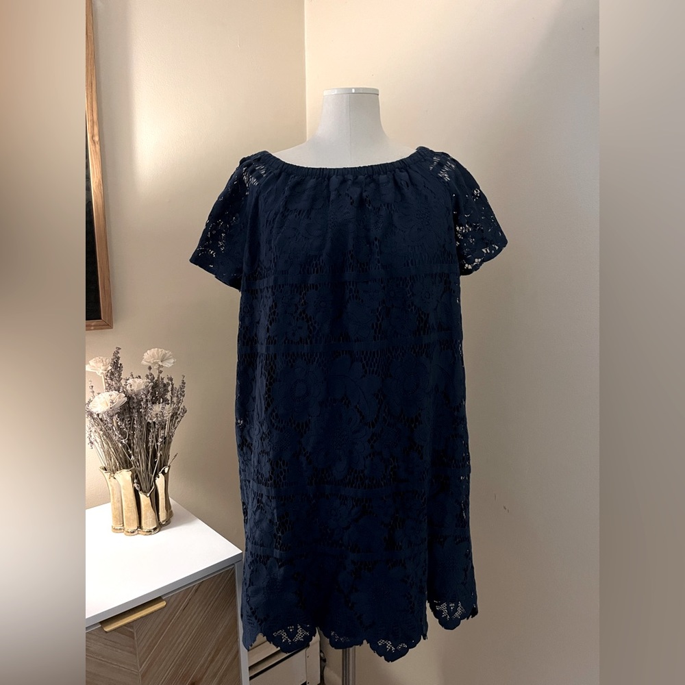 Loft lace mini dress